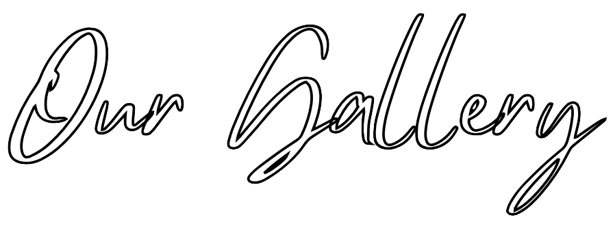 Gallery Preview